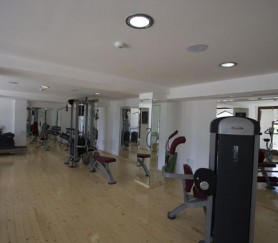 fitness